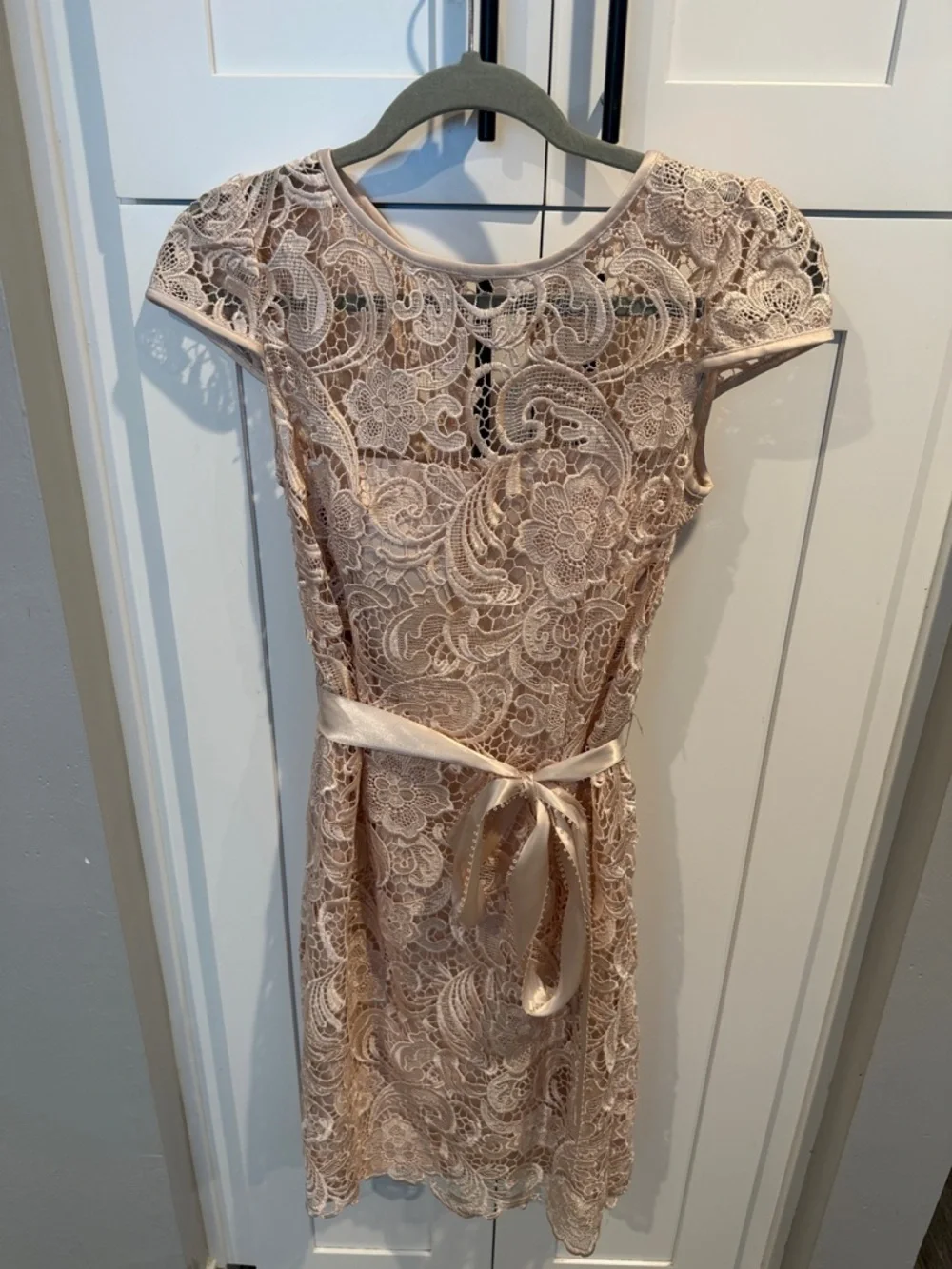 adrianna papell scalloped lace sheath dress Adrianna Papell Women's Button-Front Lace Dress - Petunia